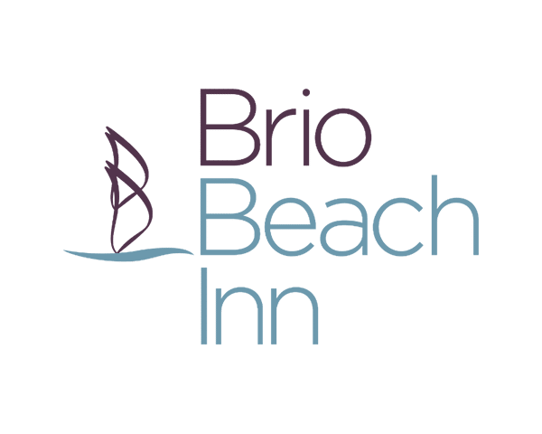 brio logo